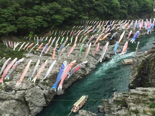 森林浴、そしてやっぱり、でこまわしにビール。<br /><br />