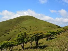 満開のシロヤシオを期待して　竜ヶ岳