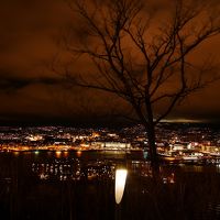 プライスレス！ノルウェーのオスロでミシュラン星付きレストラン！ムンクの叫びが描かれたまさにその丘に建つ。最高の料理と夜景を楽しむ旅