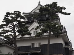 東海名城巡り③　～　三河の岡崎城と名古屋名物みそかつ　～