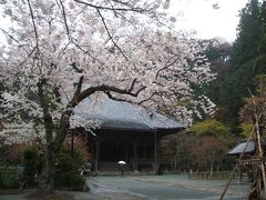 日蓮宗本山めぐり～神奈川