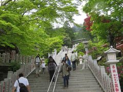 大山に行ってみたくて、バスツアーに１人参加した。