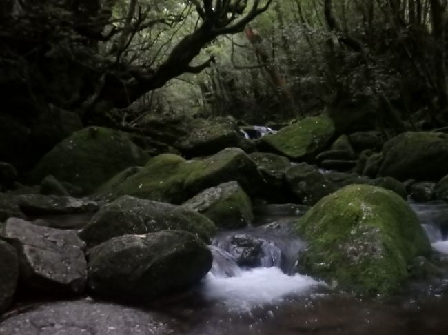 前から行ってみたかった屋久島<br />拙い旅行記ですが、ご覧下さい。