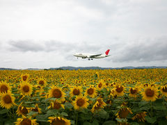 2007年夏の北海道旅行は道北ぐるっと一周り（その3、DMV試験的営業運行、女満別のひまわり、遠軽の瞰望岩を見て旭川へ）