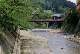 2015春、飛騨高山と白川郷(3/16)：高山、宮川、筏橋、中橋、ヤマボウシ、テッセン