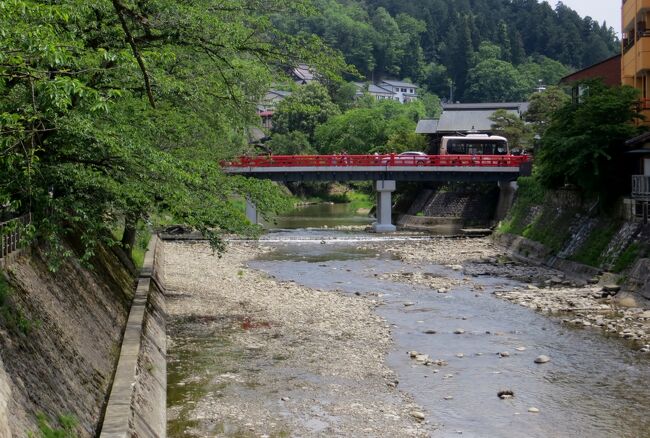 2015春、飛騨高山と白川郷(3/16)：高山、宮川、筏橋、中橋、ヤマボウシ、テッセン