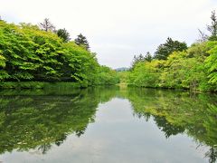 初夏の軽井沢１−野菜とお水のおいしい街ー