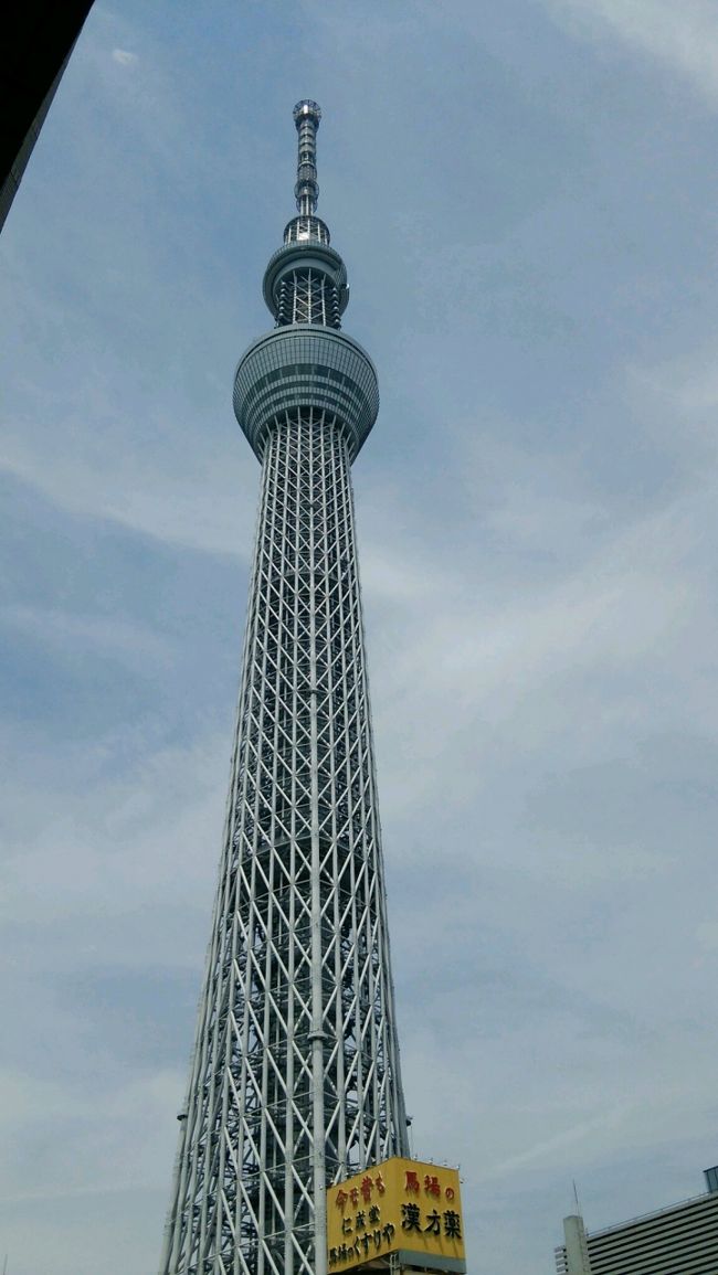 昨日夜の天気予報は、雨！<br />なのに、今朝5時に起きたら晴れている・・・・・。<br />急ぎお出掛けの準備をしました。<br />でも、何処に行けば良い？？？？？<br />最近の流行で、清澄辺り？とは思いましたが、一度も<br />降りた事が無い、錦糸町近辺へ行く事にしました。<br />あそこなら、寺院とスカイツリーが同時に楽しめる！<br />でも、地理無案内です。<br /><br />しょっぱなからの失敗は、京急で押上まで行けば良いのに、<br />ＪＲの錦糸町を目指してしまいました。<br />ここが、御上りたる所以です。<br />東京に、慣れないですねえ。<br />で、錦糸町から亀戸から押上から馬喰町へと、変な散歩に<br />なってしまいました。<br />笑わずに見て頂けると、助かります。<br /><br />愛機の、Ｄ5200が部下に貸与中です。<br />急遽、ルミックスＧＸ1君が出番となりましたが、<br />広角側の幅が狭い！<br />見辛い写真がありますが、こちらも御容赦下さい。<br /><br /><br />