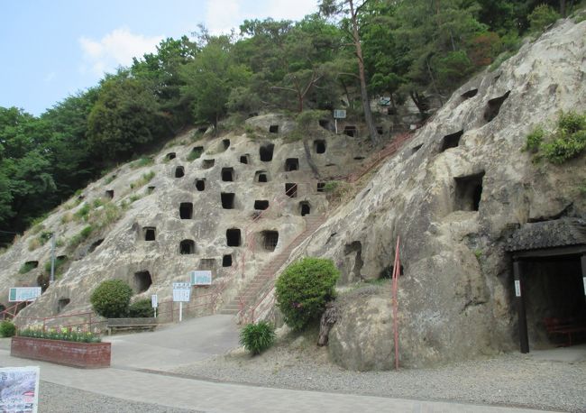 連休のある日、埼玉県東松山市に隣接する吉見町の吉見百穴（よしみひゃくあな）に自転車で行ってきました。<br /><br />ここは古墳時代の遺跡ですが、江戸時代までは不思議な穴として知られていました。明治になってからは、東京大学の坪井正五郎氏によって調査され、「コロボックル」の穴ではないかと考えられたこともありました。<br />実際は横穴墓だということがわかっています。百穴という名称ですが、現在２１９の穴が確認されています。<br /><br />実際に見てみると、ほんとうにその四角い穴の並びが不思議です。その景観から過去には、仮面ライダーやウルトラマンのロケ地にもなったことがあるそうです。<br /><br />でも、更に驚いたのは同じ岩山にある地下の軍需工場跡です。第二次大戦中、大宮にあった中島飛行機工場を全面的に移転したのです。ここに来るまでその存在を知らなかったので、びっくりしました。<br />開口部３ｍのトンネルで全長５００ｍ、手掘りで掘ったものです。さぞ過酷な環境だったことでしょう。知らない歴史があるのだなあと感じたことでした。<br /><br /><br /><br /><br /><br />