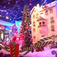 ヘルシンキ市内観光＆クリスマスマーケット