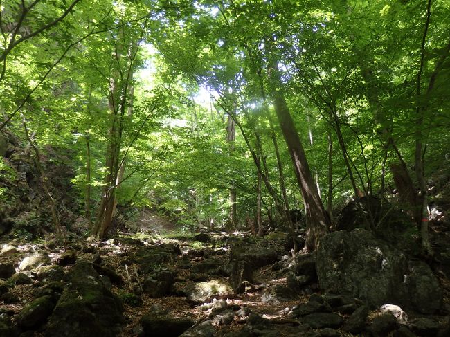 そうだ！山に登ろう～埼玉県最高峰・両神山編～