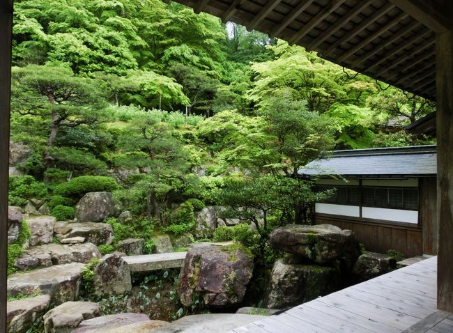 GWも混雑回避 <湖東三山は緑の洪水・百済寺庭園編>