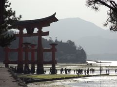 広島 ～桜と厳島神社～