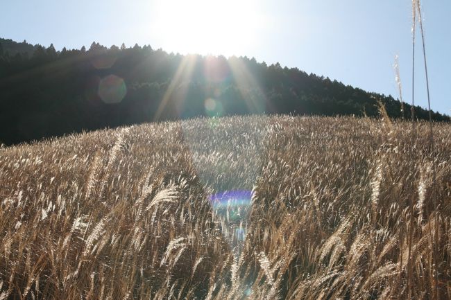 2010年12月12日：一族旅行in箱根（2日目）