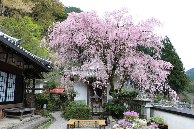 県道沿いを走っていると観えたので早速訪問