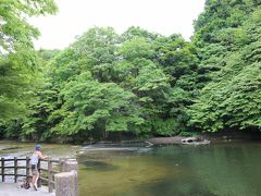 千葉県　君津市　新緑の亀山湖