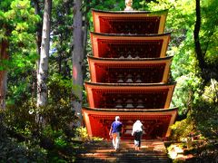 開創1200年の高野山から奈良・東大寺・談山神社・長谷寺・室生寺を巡る