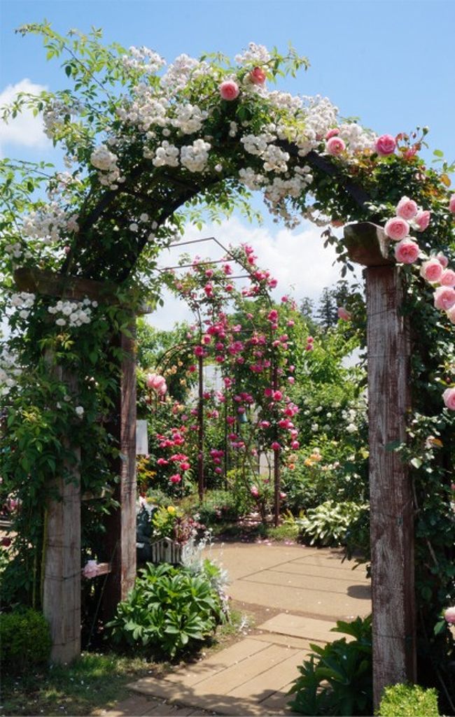 15 藤沢邸 つくばローズガーデン 満開の花園で至福のひとり時間 つくば 茨城県 の旅行記 ブログ By まりも母さん フォートラベル