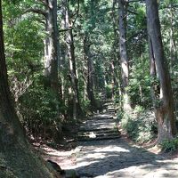 高野山と熊野古道