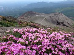 花の山旅 ◇ 霧島連山【前編】 ～ ミヤマキリシマ咲き誇る 天孫降臨の高千穂峰へ♪