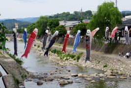 2015春、飛騨高山と白川郷(9/16)：高山、人力車、1月遅れの端午の節句、高山別院へ