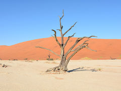ナミブ砂漠とエトーシャ国立公園にいってきました