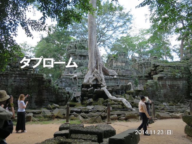 アンコール遺跡の旅2-3　巨木に飲み込まれるタプローム寺院