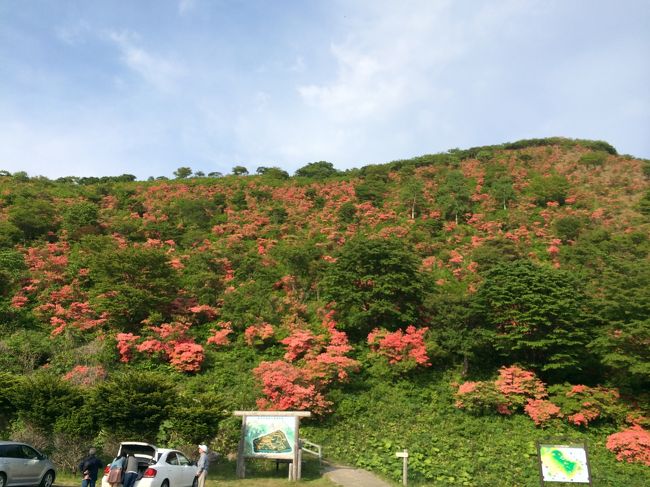 クラブツーリズムのツアーに参加して道南の花巡り