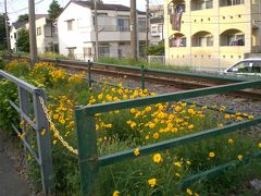 行くぜ鵠沼海岸～～～今年は一コケはいやよん～～～