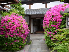 東福寺光明院　5月の風景！2015年