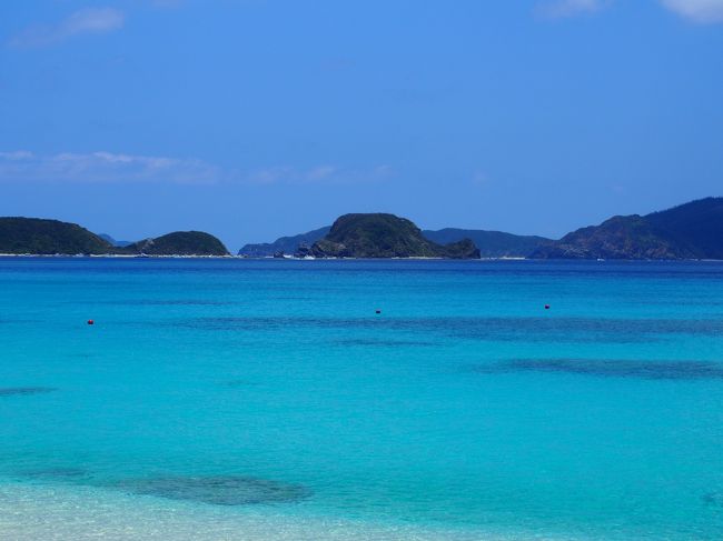 お天気が心配でしたが、わくわく座間味島へ行ってきました。<br />これぞケラマブルー！<br />世界に誇る日本の海です！<br />いつまでもこのブルーが続く日本でありますように!!<br />