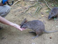 なぜ人気が出ないのかわからない、ネオパークオキナワで鳥や動物とたわむれてきました