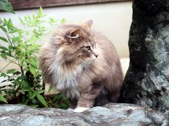 小浜・若狭の旅行記