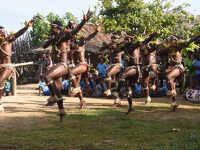 トゥフィとTaum島の踊りと衣装：　ニューギニア一周クルーズ（４）