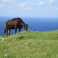 【2015年島根】隠岐諸島西ノ島編