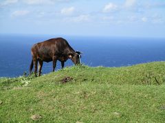 【2015年島根】隠岐諸島西ノ島編