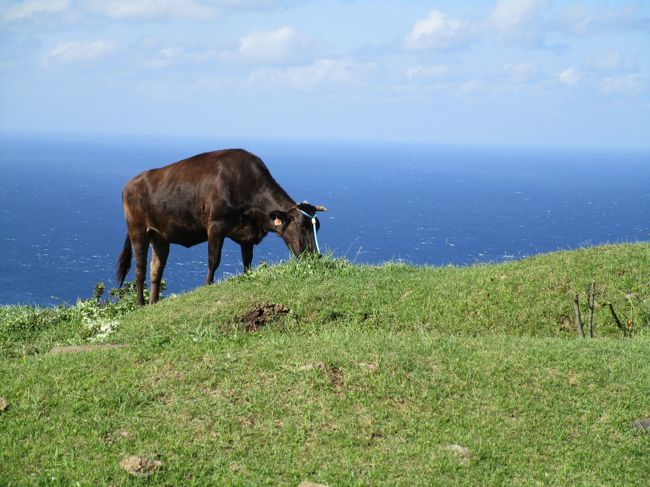 5年ぶりに母方の実家(島根県隠岐諸島西ノ島)に墓参りに行きました。<br /><br />前回は、墓参りだけでトンボ帰りでしたので、島前(西ノ島・知夫里島・中ノ島)と松江、安来エリアを周遊してきました。<br />今編は、米子出発から西ノ島散策です。<br /><br />■日程<br />2015/09/05<br /> 東京→米子 泊:米子<br />2015/09/06<br /> 米子→七類→西ノ島 泊:西ノ島<br />2015/09/07<br /> 西ノ島 泊:西ノ島<br />2015/09/08<br /> 西ノ島→知夫里島→中ノ島 泊:中ノ島<br />2015/09/09<br /> 中ノ島→境港→松江→亀嵩温泉 泊:亀嵩温泉<br />2015/09/10<br /> 亀嵩温泉→安来→米子→東京