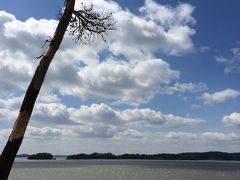 東北のんびり親子旅｛12}松島佐勘松庵☆海と空の遊歩道～（^^♪