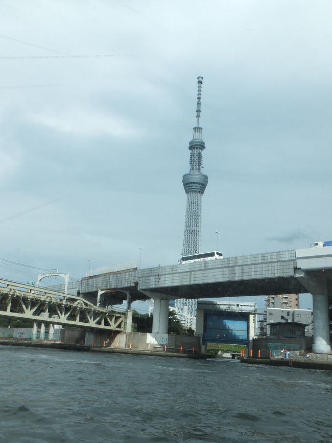 水上バスの招待券を入手したので週末に行ってみました。<br />東京スカイツリーのソラマチから始まって、隅田川クルーズ、浜離宮、歌舞伎座、神保町のカレー屋さんと動き回りました。<br />都営地下鉄のワンデーパスでめぐる夏の一日です。