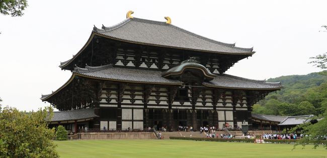 新緑の奈良公園、東大寺散策です。修学旅行生でいっぱいでした。