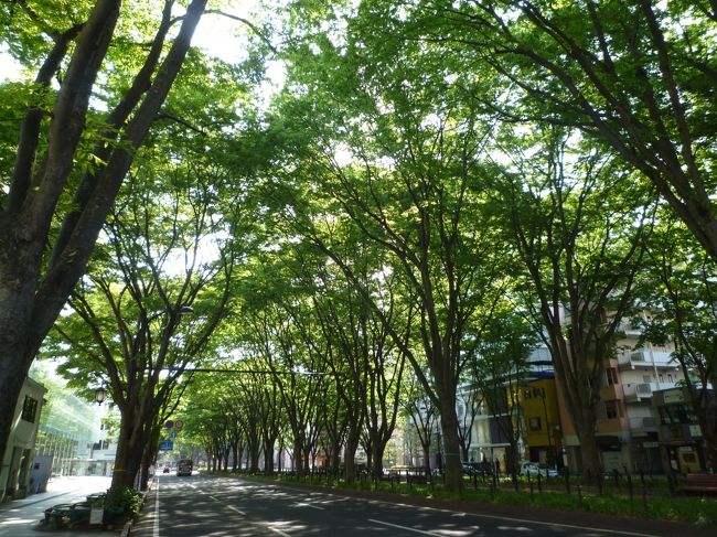 今年も仙台青葉まつりに行ってきました。祭りで大混雑になる前に、夜行バスで早朝着を活かして街歩きです。早朝６〜７時台の街はこのあと祭りだとは思えない静かさ、美しすぎる新緑の仙台をじっくり散策できました。<br /><br />その後は仙台駅東口の「半田屋」で朝食。ずっと入ってみたかった憧れの定食屋を制覇し感無量です(笑)　ちなみに２日連続で行きました、また行きたい(~o~)