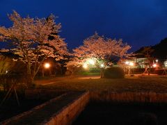 2015桜だより◆『柳生の里』の夜桜は他に誰もいなかった...