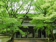 GWも混雑回避 <湖東三山は緑の洪水・永源寺編>