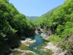 日光の新たな魅力を発見！