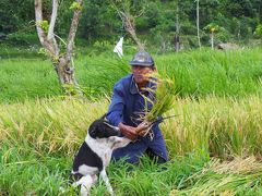 See the magic of east bali バリ東部 家族旅行③