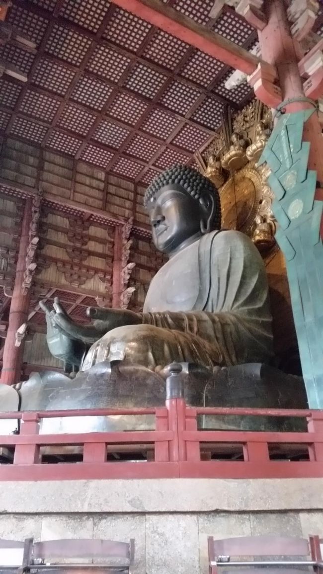 ついに最後の観光に出かけます。<br /><br />南紀白浜でパンダを見て、京都を巡り、母が行きたがっていた奈良へ。<br /><br />今日もべたな奈良観光をします。