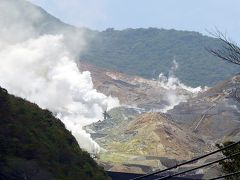 今の大涌谷（2015年5月30･31日）