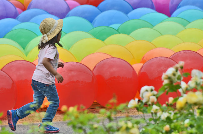 2015 花フェスタ記念公園（7・8） 世界最大級のはバラ園が贈る花フェスタ2015ぎふ