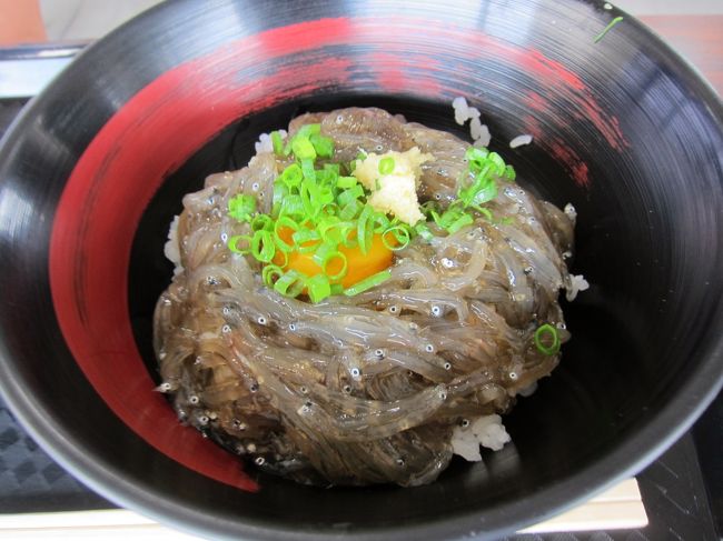 日帰りドライブ旅のメインは「田子の浦漁港で期間限定で食べることのできるしらす丼を食べること」。残念ながらこの日は生のシラスを味わうことはできず解凍しらすだったけど、それでも十分おいしかったです。<br />（2014年の夏に再チャレンジ、その時は捕れたての生しらすを食べることができました）<br /><br />田子の浦漁港から富士山がぼんやりしか見えなかったので、結局富士山の五合目登山口まで車で行ってみましたが…STOP！弾丸登山！