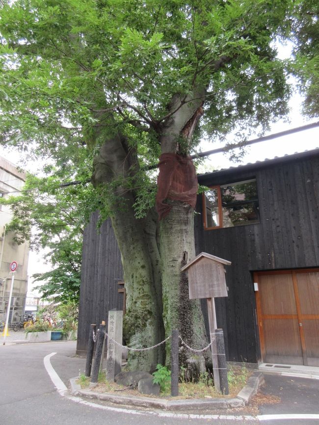 紫式部 「源氏物語」 の主人公・光源氏の実在モデルと言われるのが、源融 (みなもとのとおる)。その源融が造った広大な邸宅 「六条河原院」 の跡地。〔第14首/河原左大臣 (源融)〕 みちのくの しのぶもぢずり 誰ゆえに 乱れそめにし われならなくに〔第47首/恵慶法師〕 やへむぐら しげれる宿の さびしきに 人こそ見えね 秋は来にけり